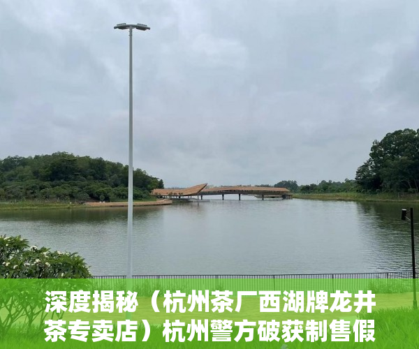 深度揭秘（杭州茶厂西湖牌龙井茶专卖店）杭州警方破获制售假冒西湖龙井茶案，西湖龙井茶怎么卖，