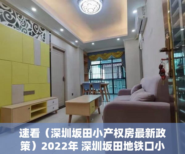 速看（深圳坂田小产权房最新政策）2022年 深圳坂田地铁口小产权房看房之旅总体满意，坂田小产权房的发展，