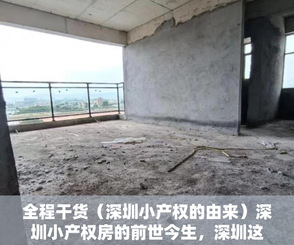 全程干货（深圳小产权的由来）深圳小产权房的前世今生，深圳这么多小产权房何去何从，