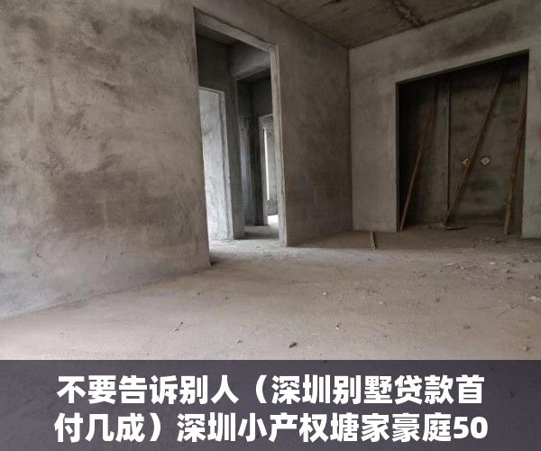 不要告诉别人（深圳别墅贷款首付几成）深圳小产权塘家豪庭50平公寓19W吗，深圳房贷首付比例，