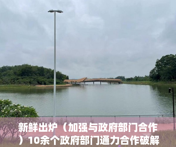 新鲜出炉（加强与政府部门合作）10余个政府部门通力合作破解11年困局 罗湖田贝花园首批房产证发放_深圳新闻网，各部门之间通力合作，