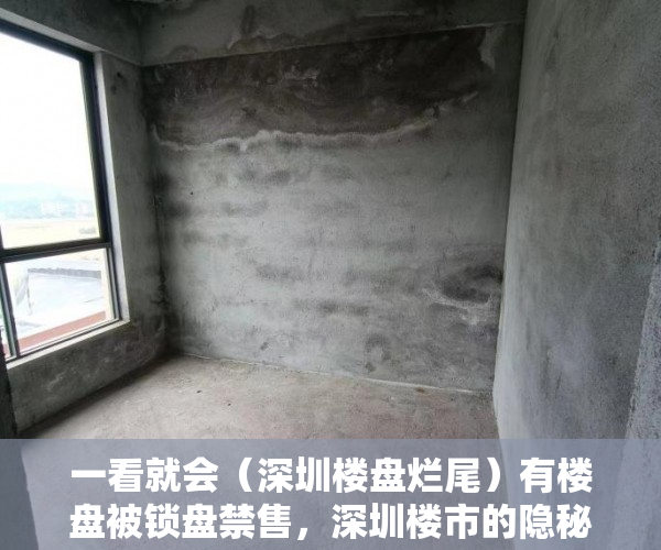 一看就会（深圳楼盘烂尾）有楼盘被锁盘禁售，深圳楼市的隐秘角落遭遇监管重锤，深圳楼市暴跌，