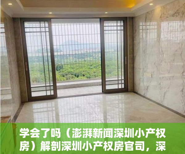 学会了吗（澎湃新闻深圳小产权房）解剖深圳小产权房官司，深圳房产纠纷官司案例，