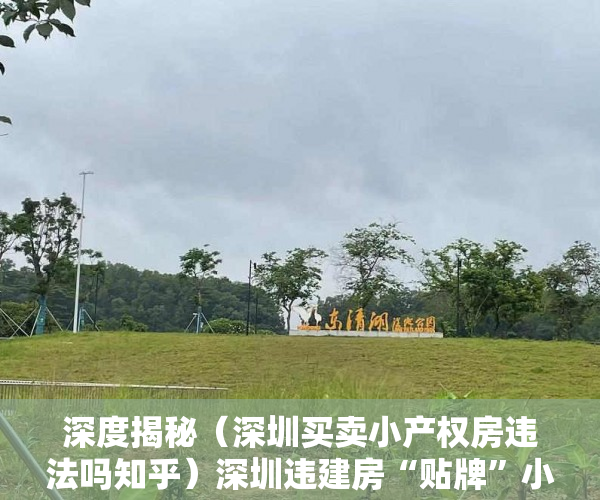 深度揭秘（深圳买卖小产权房违法吗知乎）深圳违建房“贴牌”小产权公开叫卖，深圳买卖小产权房违法吗最新消息，