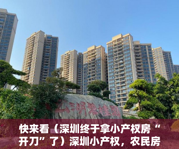快来看（深圳终于拿小产权房“开刀”了）深圳小产权，农民房最大的风险是什么，深圳小产权房没收后续，
