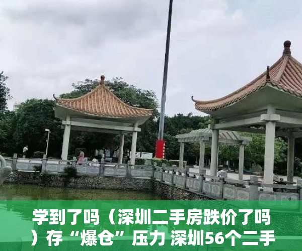 学到了吗（深圳二手房跌价了吗）存“爆仓”压力 深圳56个二手楼盘超八成扛不住价格再跌10%，深圳二手房价格跌了吗，