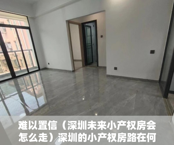 难以置信（深圳未来小产权房会怎么走）深圳的小产权房路在何方？，深圳小产权房在哪里有房源，