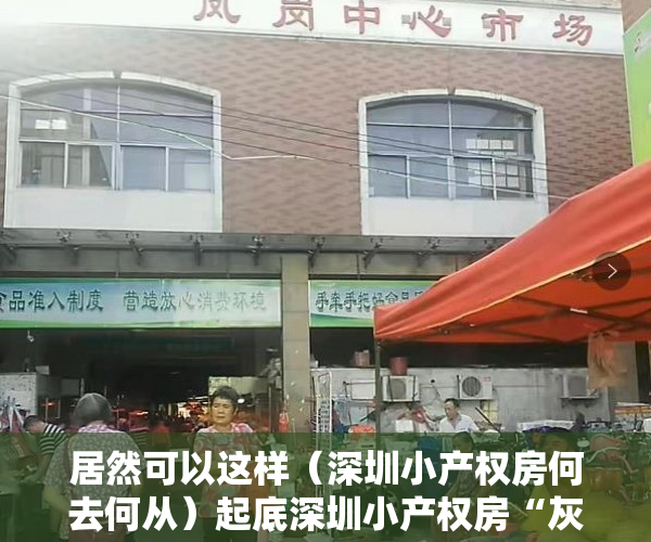 居然可以这样（深圳小产权房何去何从）起底深圳小产权房“灰色”交易链 有中介两个月完成全年业绩指标，深圳现在小产权房买了以后有风险吗，