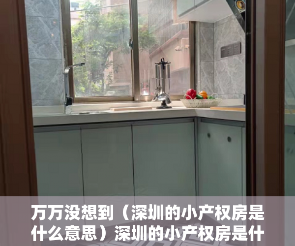 万万没想到（深圳的小产权房是什么意思）深圳的小产权房是什么！？，深圳的小产权房是什么样的，