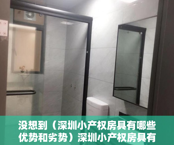 没想到（深圳小产权房具有哪些优势和劣势）深圳小产权房具有哪些优势？，深圳小产权房具有哪些优势条件，