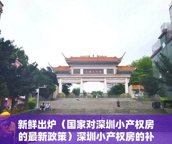 新鲜出炉（国家对深圳小产权房的最新政策）深圳小产权房的补贴补偿条例有以下四个方面，深圳小产权房赔偿标准，