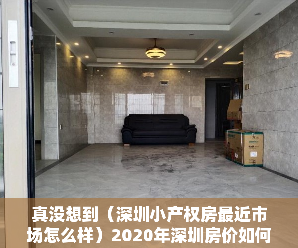 真没想到（深圳小产权房最近市场怎么样）2020年深圳房价如何，小产权房能买吗，用来投资自住怎么样？，深圳小产权房好卖出去吗，