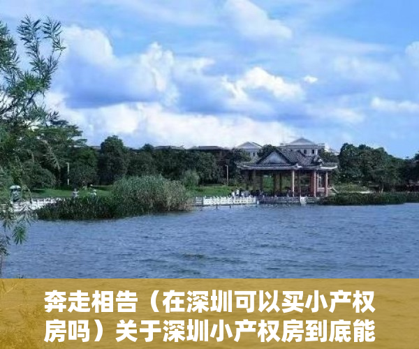 奔走相告（在深圳可以买小产权房吗）关于深圳小产权房到底能不能买的问题！，有深圳小产权房还可以买安居房吗知乎，