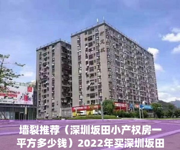 墙裂推荐（深圳坂田小产权房一平方多少钱）2022年买深圳坂田小产权房需要注意哪几个问题？(坂田小产权房哪里较好)，坂田小产权房怎么看，