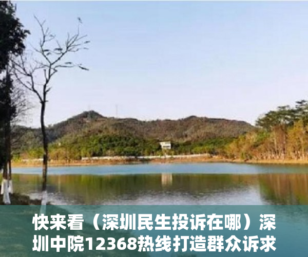 快来看（深圳民生投诉在哪）深圳中院12368热线打造群众诉求服务“连心桥”，深圳民生投诉频道，