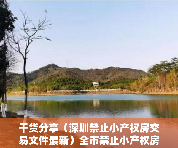 干货分享（深圳禁止小产权房交易文件最新）全市禁止小产权房交易：深圳下狠手封堵投资资金，深圳禁止小产权房交易文件下载，