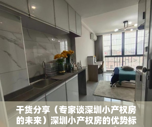 干货分享（专家谈深圳小产权房的未来）深圳小产权房的优势标准相比物所超值，深圳小产权房升值空间，