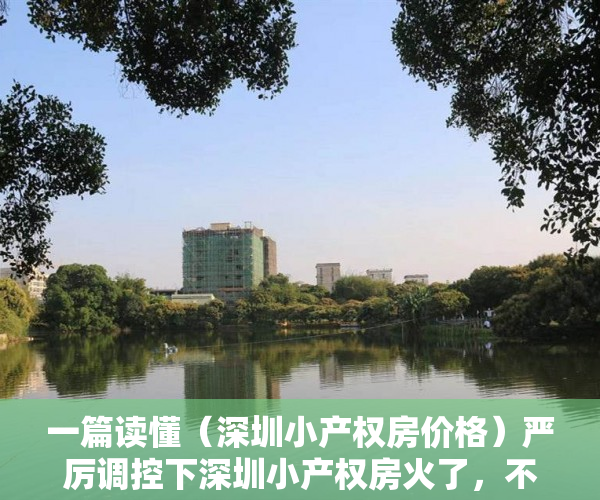 一篇读懂（深圳小产权房价格）严厉调控下深圳小产权房火了，不按面积按套卖，涨幅大风险也大，深圳小产权房价格涨幅多少合适，