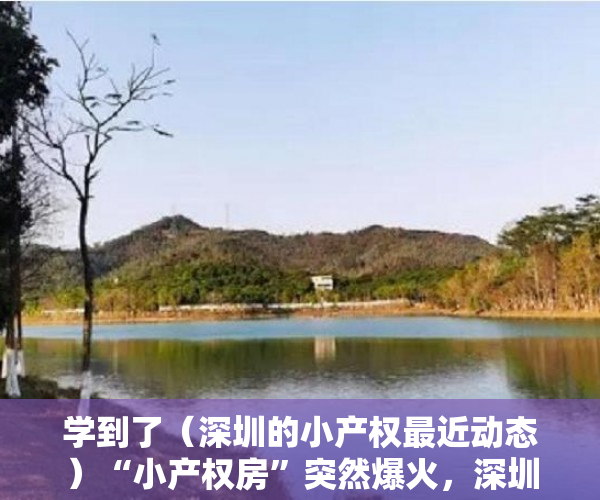 学到了（深圳的小产权最近动态）“小产权房”突然爆火，深圳紧急出手了，深圳小小产权房，