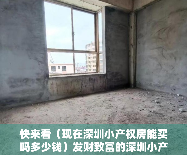 快来看（现在深圳小产权房能买吗多少钱）发财致富的深圳小产权房你敢买吗？，现在深圳小产权房能买吗知乎，