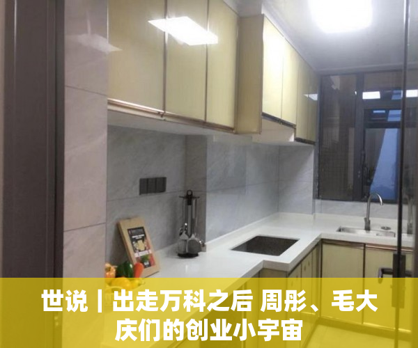 世说｜出走万科之后 周彤、毛大庆们的创业小宇宙