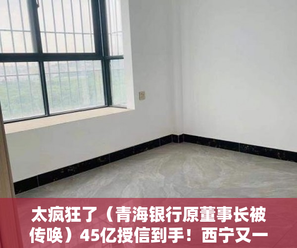 太疯狂了（青海银行原董事长被传唤）45亿授信到手！西宁又一房企老总行贿建行青海分行原行长，送房、送卡、送美国矿产公司34%股权……，青海省建行行长，