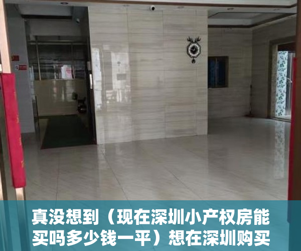 真没想到（现在深圳小产权房能买吗多少钱一平）想在深圳购买小产权房到底能不能买？，现在深圳小产权房能买吗多少钱一平方，