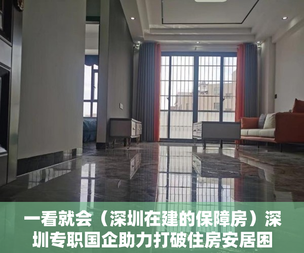 一看就会（深圳在建的保障房）深圳专职国企助力打破住房安居困局，深圳国企地产，