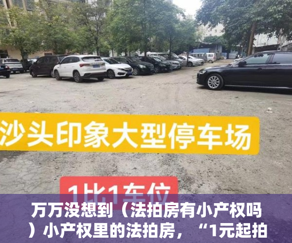 万万没想到（法拍房有小产权吗）小产权里的法拍房，“1元起拍”啥情况？没那么容易捡到“便宜”，法拍房1元起拍买得到吗，
