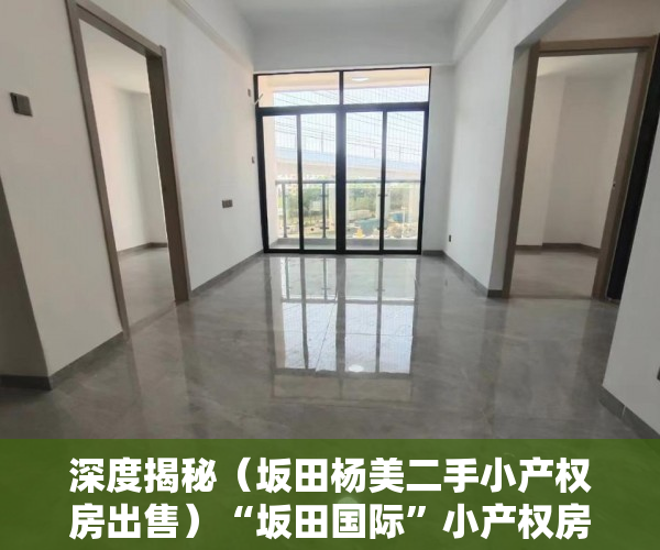 深度揭秘（坂田杨美二手小产权房出售）“坂田国际”小产权房公开叫卖，坂田杨美房价，