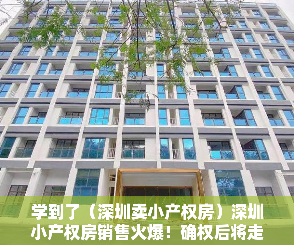 学到了（深圳卖小产权房）深圳小产权房销售火爆！确权后将走向何方？购买者是这么想的……，深圳这么多小产权房何去何从，