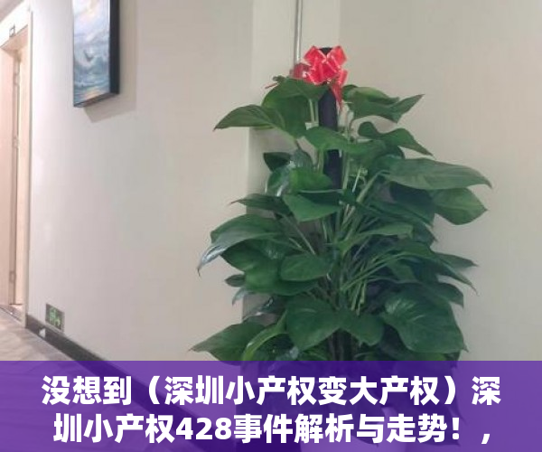 没想到（深圳小产权变大产权）深圳小产权428事件解析与走势！，深圳未来小产权房是涨是跌，