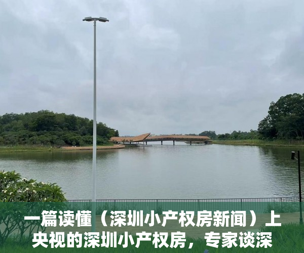 一篇读懂（深圳小产权房新闻）上央视的深圳小产权房，专家谈深圳小产权房的未来，