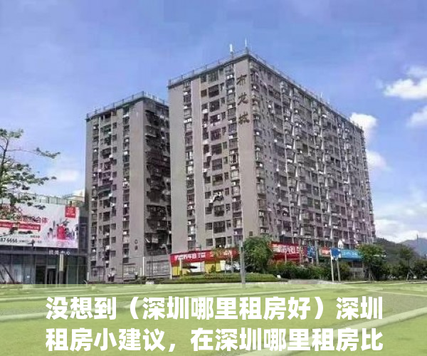 没想到（深圳哪里租房好）深圳租房小建议，在深圳哪里租房比较好，(现在深圳哪里租房比较便宜呢)