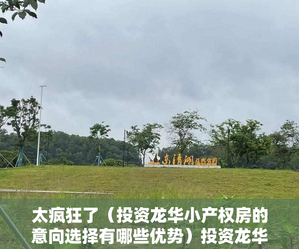 太疯狂了（投资龙华小产权房的意向选择有哪些优势）投资龙华小产权房的意向选择有哪些？，龙华小产权房哪里好，