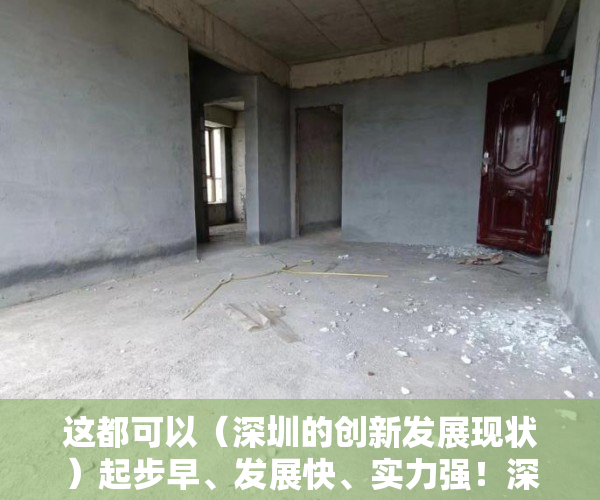 这都可以（深圳的创新发展现状）起步早、发展快、实力强！深圳民营创投大放异彩丨深圳创投“三原色”系列（02），深圳的创新发展历程，