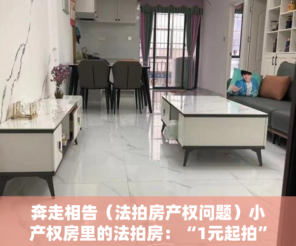 奔走相告（法拍房产权问题）小产权房里的法拍房：“1元起拍”存风险 捡漏者须防猫腻，法拍房1元起拍怎么回事，
