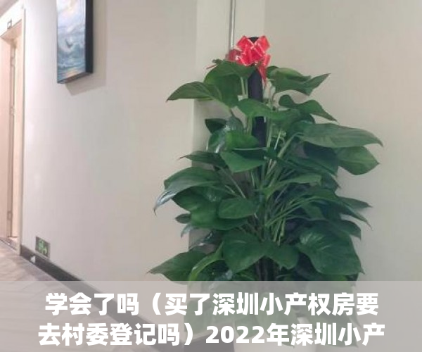 学会了吗（买了深圳小产权房要去村委登记吗）2022年深圳小产权房如何查看是村委统建的楼还是历史遗留的？，2021年深圳小产权房怎么处理，