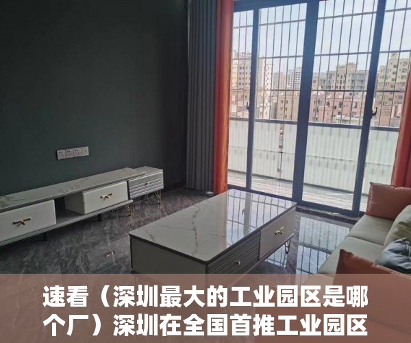 速看（深圳最大的工业园区是哪个厂）深圳在全国首推工业园区企业免产权证明“零证办电”服务 园区供电服务直达终端企业，深圳最大的工业园区是哪个街道，