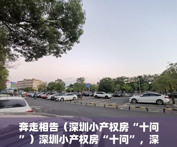 奔走相告（深圳小产权房“十问”）深圳小产权房“十问”，深圳小产权房问题，