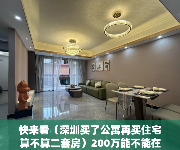 快来看（深圳买了公寓再买住宅算不算二套房）200万能不能在深圳的买个住宅两房？(首套拒绝公寓，永不考虑小产权)？，深圳买公寓要求，