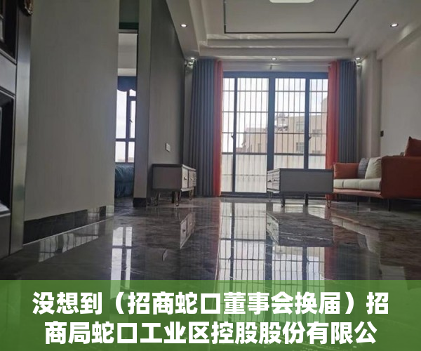 没想到（招商蛇口董事会换届）招商局蛇口工业区控股股份有限公司 第二届董事会2020年第十五次临时会议决议公告，招商蛇口董事会成员，