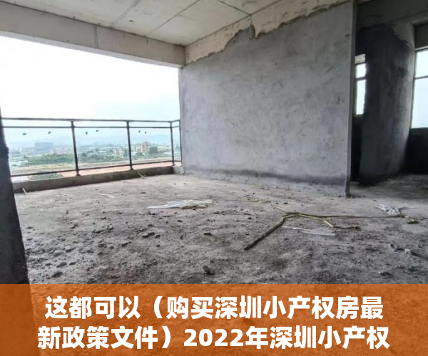 这都可以（购买深圳小产权房最新政策文件）2022年深圳小产权房购买注意事项，深圳小产权房的最新政策，