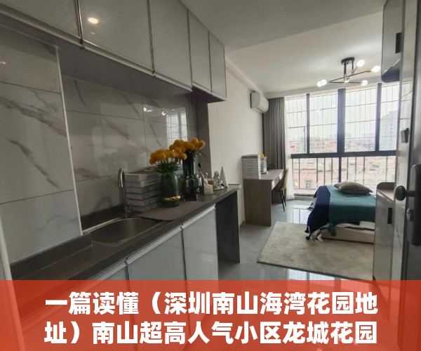 一篇读懂（深圳南山海湾花园地址）南山超高人气小区龙城花园 VS 西海湾公寓？，深圳南山前海湾花园，