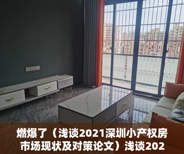 燃爆了（浅谈2021深圳小产权房市场现状及对策论文）浅谈2021深圳小产权房市场现状。，浅谈2021深圳小产权房市场现状及对策研究，