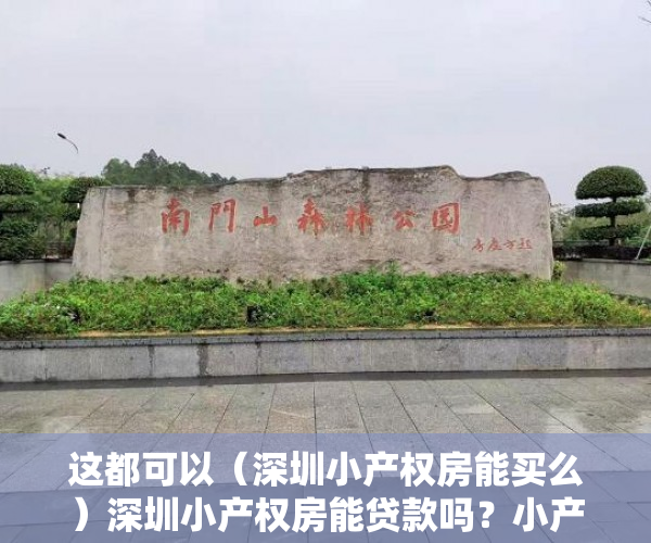 这都可以（深圳小产权房能买么）深圳小产权房能贷款吗？小产权房有什么风险？，现在深圳小产权房能买吗，