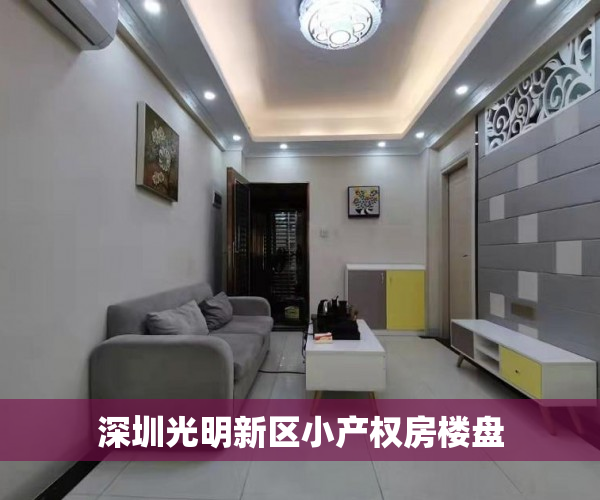 深圳光明新区小产权房楼盘