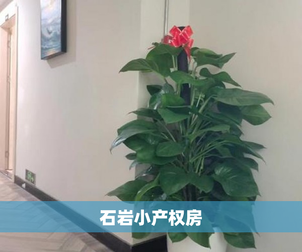 石岩小产权房 石岩小产权房