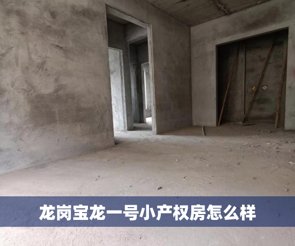龙岗宝龙一号小产权房怎么样 龙岗宝龙一号小产权房怎么样