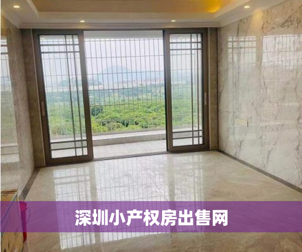 深圳小产权房出售网 深圳小产权房出售网